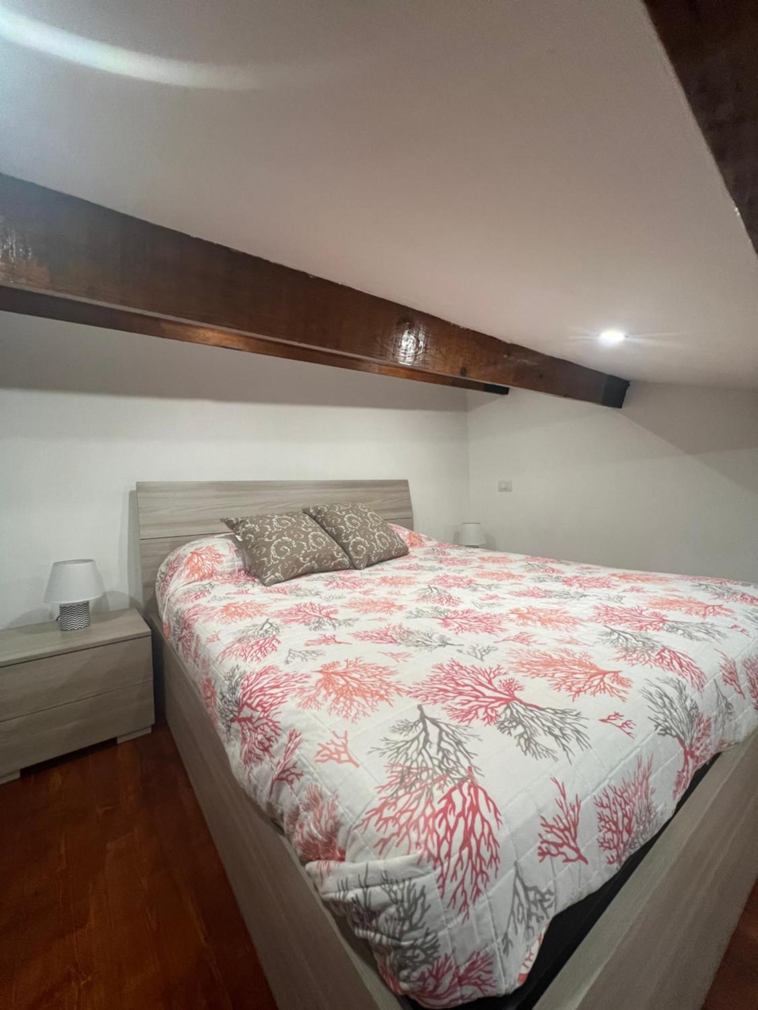 Station Rooms37 사사리 외부 사진